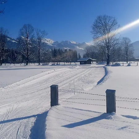 Berta Apartment Westendorf