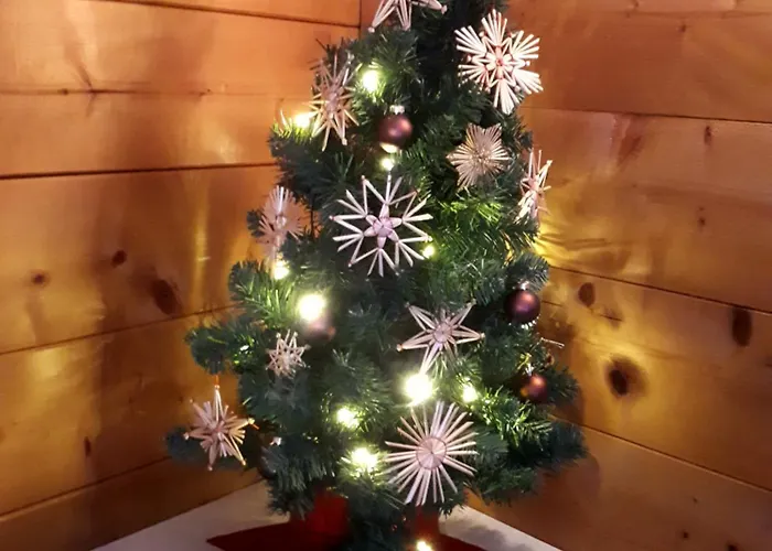 Διαμέρισμα Berta *